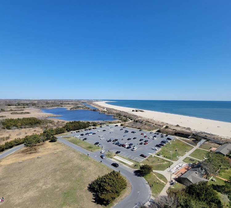 cape-may-point-state-park-photo